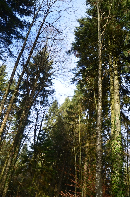 2016-12 France/Rumilly/DSC_0067.JPG